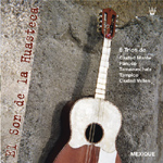 Various Artists - Mexique - El Son de la Husteca (CD)