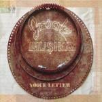 ErsatzMusika - Voice Letter (CD)