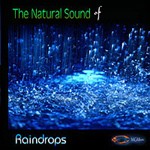 Medwyn Goodall - The Nature Sounds of Raindrops (CD)