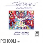 Christian Bollmann & Daniel Namkhay - Shaman - Mountain of Blessings (CD)