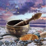 Wychazel - Tibetan Bowls 2 (CD)
