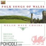 Welsh Male Choir - Folk Songs of Wales (CD)