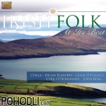 Various Artists - Irish Folk at its Best (CD)