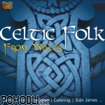 Various Artists - Celtic Folk from Wales (CD)