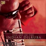 Baluji Shrivastav - The Art of the Indian Dilruba (CD)