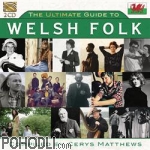 Various Artists - The Ultimate Guide to Welsh Folk (2CD)