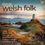 Various Artists - Best of Welsh Folk (CD)