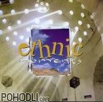 Various Artists - Ethnic Moments (CD)