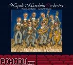 Napoli Mandolinorchestra - Mandolini al Cinema (CD)