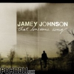 Jamey Johnson - That Lonesome Song (CD)