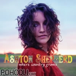 Ashton Shepherd - Where Country Grows (CD)