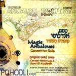 Orchestre Andalou d'Israel - Concert De Gala (DVD)