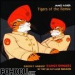 James Asher - Tigers of the Remix (CD)