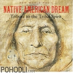 Various Artists - Native American Dream (CD)