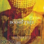 Jonathan Still - Under the Bodhi Tree (CD)