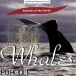Sounds of the Earth - Whales (CD)