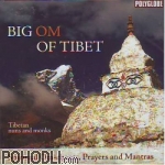 Tibetan Nuns & Monks - Big Om of Tibet (CD)
