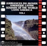No Artists - Ambiances Du Monde Amerique Latine: Sounds Of The World Latin America V0l.1 (CD)