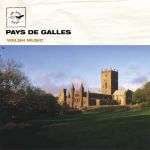 Various Artists - Welsh Music (CD)