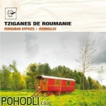 Rommales - Romanian Gypsies (CD)