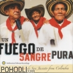 Un Fuego de Sangre Pura - Los Gaiteros de San Jacinto from Colombia (CD)