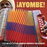 Various Artists - ¡Ayombe! The Heart of Colombia's Música Vallenata (CD)