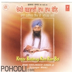 Bhai Harjinder Singh Ji - Khojte Badbhangi Ram Ram Bol (CD)