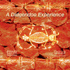 Alexandre Bartos - Didgeridoo Experience (CD)