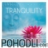 Merlino - Tranquility (CD)