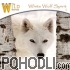 Wychazel - White Wolf Spirit (CD)