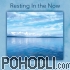Shaina Noll - Resting In The Now (CD)