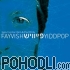 Fayvish - Yiddpop (CD)