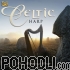 Aryeh Frankfurter - Celtic Harp - The Morning Dew (CD)