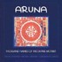 Aruna Sayeeram, Christian Bollmann & Michael Reimann - 1000 Names of the Divine Mother (CD)
