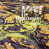 Maalstroom - Face In The water (CD)